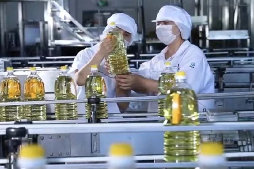 5001拉斯维加斯(中国游)有限公司-BinG百科